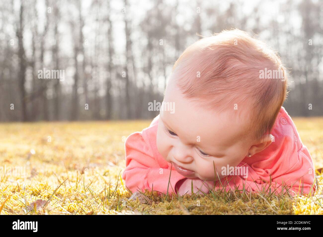 Bébé à la recherche de brins d'herbe Banque D'Images