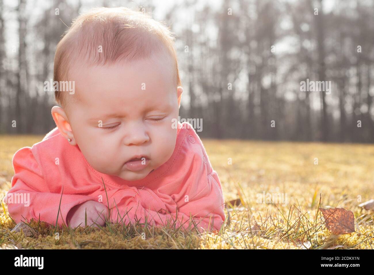 bébé qui s'infiltre sur l'herbe Banque D'Images