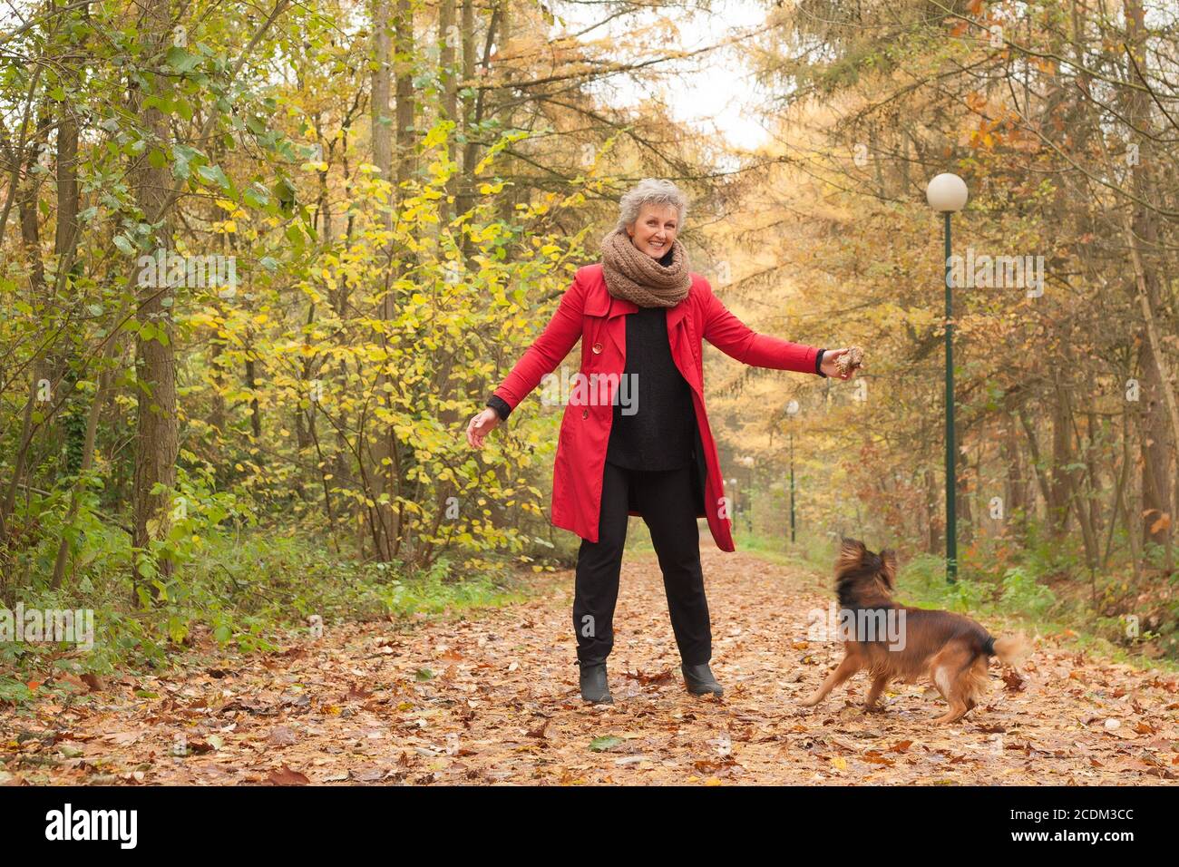 Smiling femme d'âge moyen dans la forêt avec son chien Banque D'Images