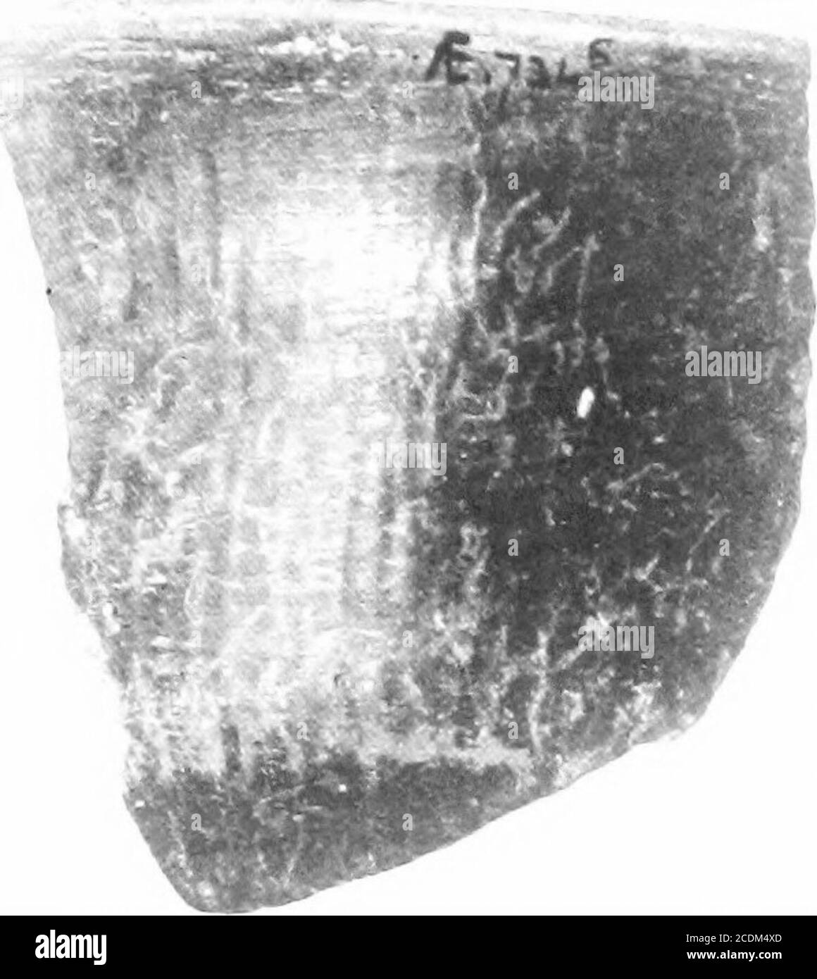 . Le palais de Minos : Un compte-rendu comparatif des étapes successives de la civilisation crétoise ancienne comme illustré par les découvertes à Knossos . t à Phaestos.^dans ce, avec une fémorale d'argile de la classe de squatting décrit ci-dessous,^ étaient des bols d'argile peu profonds, trop petits pour l'utilisation ordi-naire, un avec deux trous de suspension, Et parmi les peclunciLbisshells trouvés avec eux, un spécimen enartificiellement aplati ci-dessous. Il semble probable que ces objets avaient un but votif servida en relation avec la petite image, et le caractère religieux du dépôt a été con-firmed par l'AS Banque D'Images