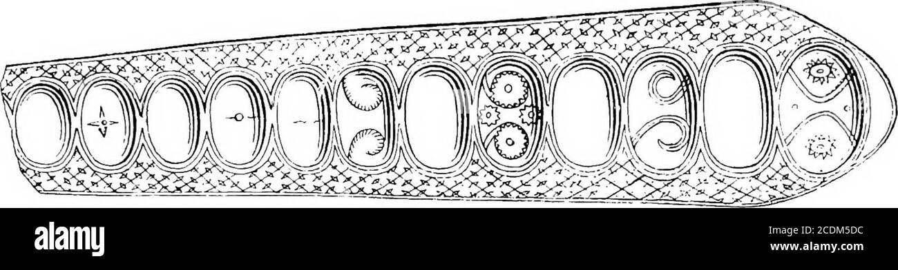 . Le palais de Minos : un compte-rendu comparatif des étapes successives de la civilisation crétoise ancienne comme illustré par les découvertes de Knossos . qui se produisent dans les produits néolithiques de Créteet de la région égéenne, par exemple, Comme les images steatopygous-mayont été dues à un patrimoine commun de grande antiquité et en effet réapparaissent Voir ci-dessous, p. 561. Voir ci-dessous, p. 542. L'ÂGE MINOEN 21 ans sur l'Egyptien ainsi que le côté Anatolien. Mais la propagation de produits similaires le long de lignes continues à l'ouest de la mer Ionienne, et même de la mer Tyrrhénienne n'est pas un phénomène accidentel, étant tout le monde Banque D'Images