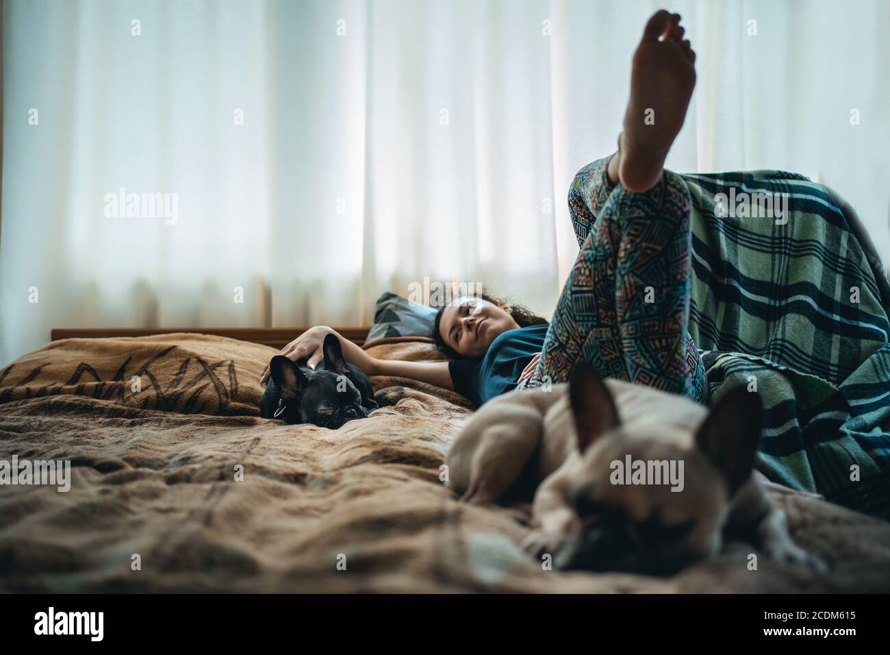 femme qui se repose avec deux adorables animaux de compagnie français lit à  la maison Photo Stock - Alamy