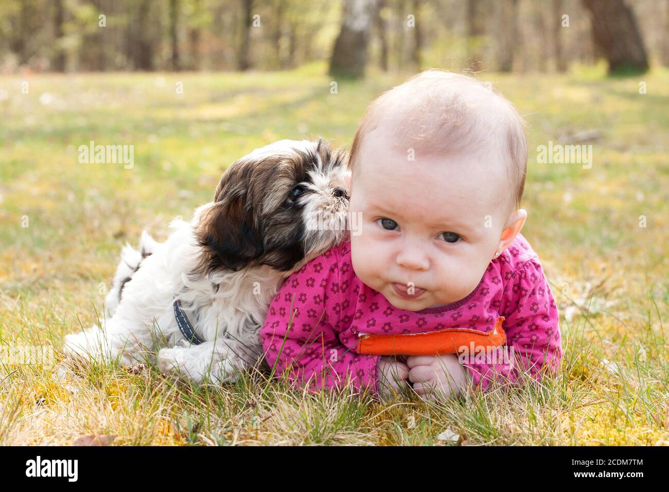 Bébé et chiot sur l'herbe Banque D'Images