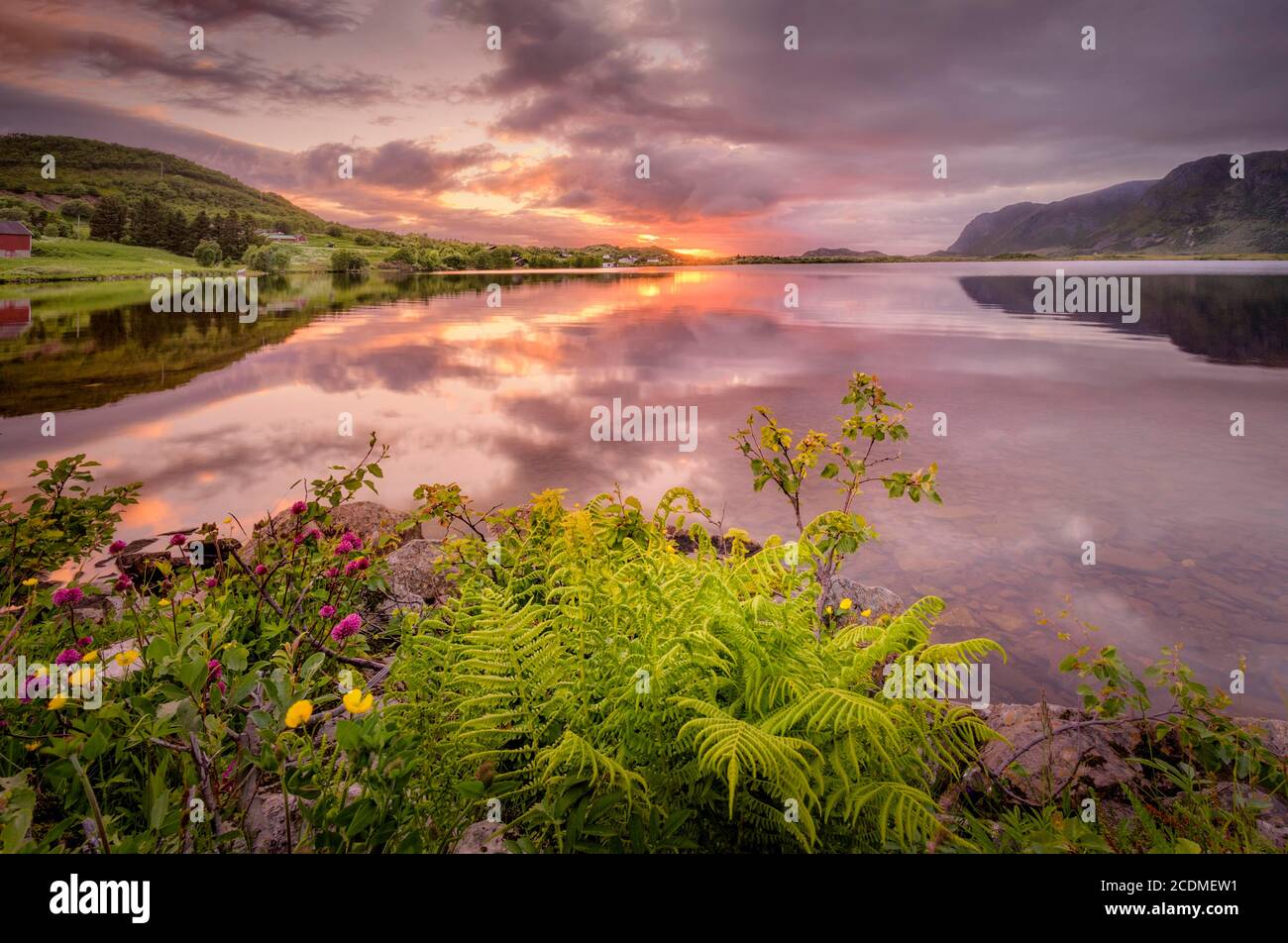 Atmosphère calme avec des nuages roses sur le fjord au soleil de minuit, Bostad, Lofoten, Nordland, Norvège Banque D'Images