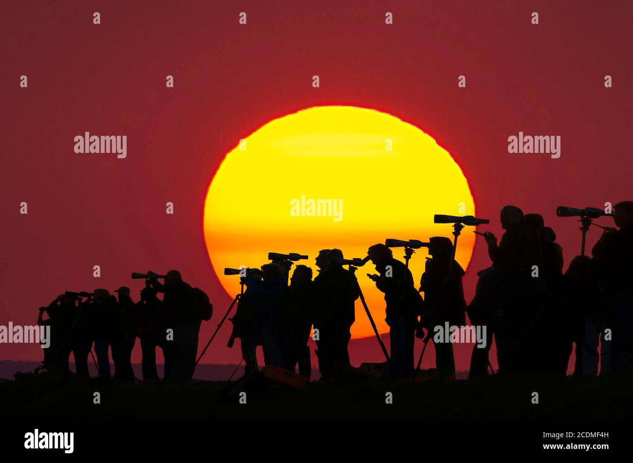 Composition numérique, personnes avec des télescopes devant le soleil couchant, Mecklembourg-Poméranie-Occidentale, Allemagne Banque D'Images