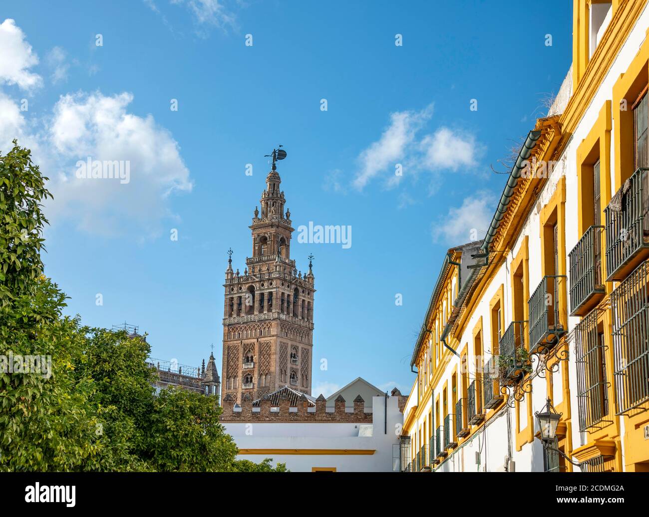 Vue sur le clocher de la Giralda depuis le patio de las Banderas, la cathédrale de Séville, le Real Alcazar de Séville, Séville, Andalousie, Espagne Banque D'Images