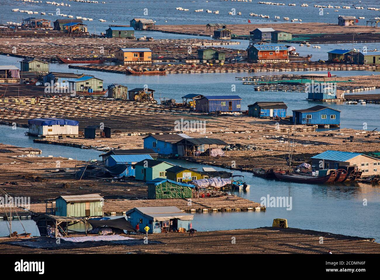 Ville flottante dans la baie, maisons sur des constructions en bambou avec des aquacultures, Xiapu, Chine Banque D'Images