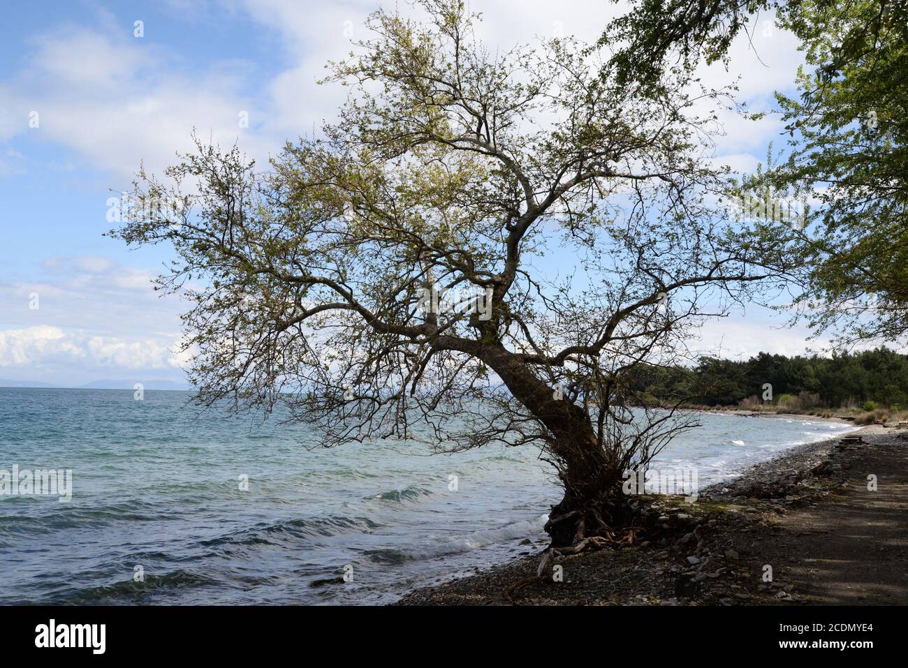 Parc national de la péninsule de Dilek, Kusadasi Banque D'Images