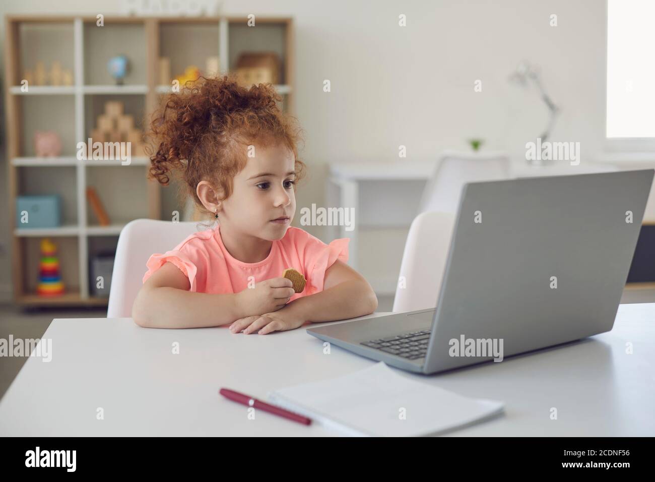 Petite fille regardant le développement du programme en ligne sur ordinateur portable à la maison Banque D'Images
