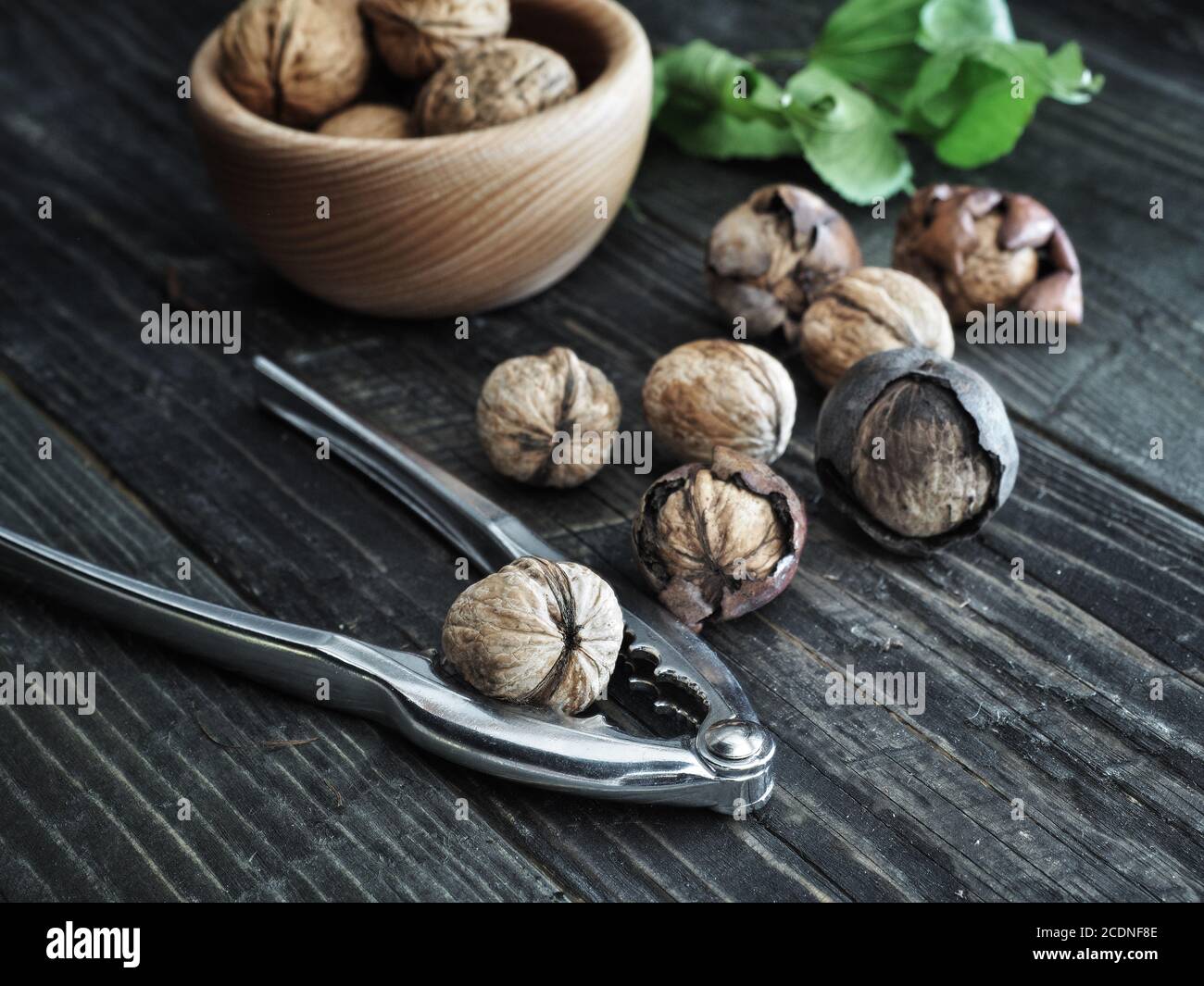 Noix récoltées dans un bol en bois avec un casse-noix en métal et des feuilles vertes sur une table en bois d'époque. Banque D'Images