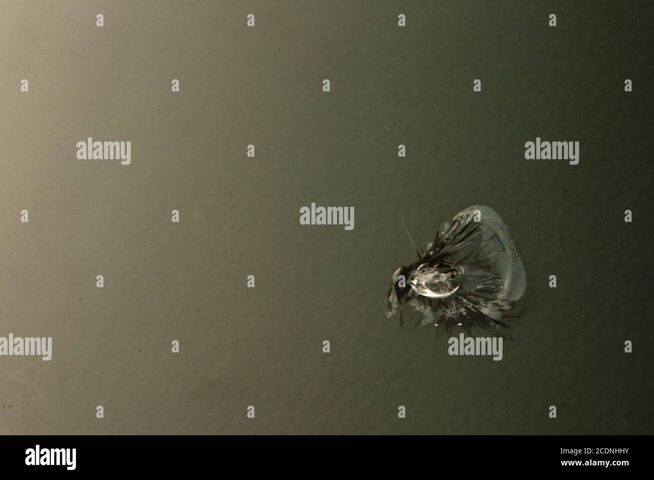 Vitre de voiture cassée Banque D'Images