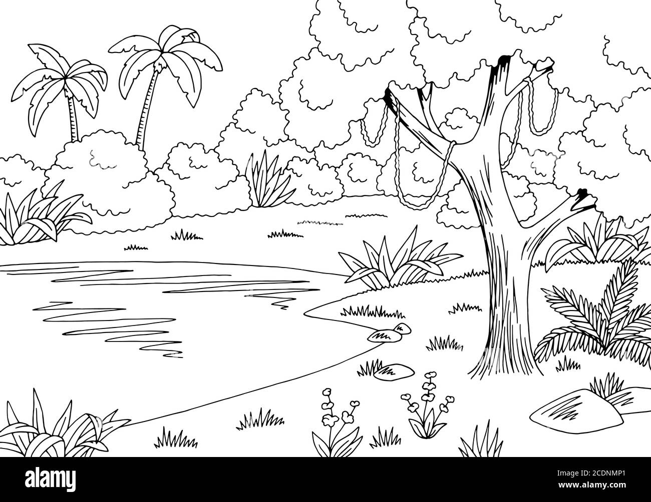 Jungle Lake graphique noir blanc paysage dessin illustration vecteur Illustration de Vecteur