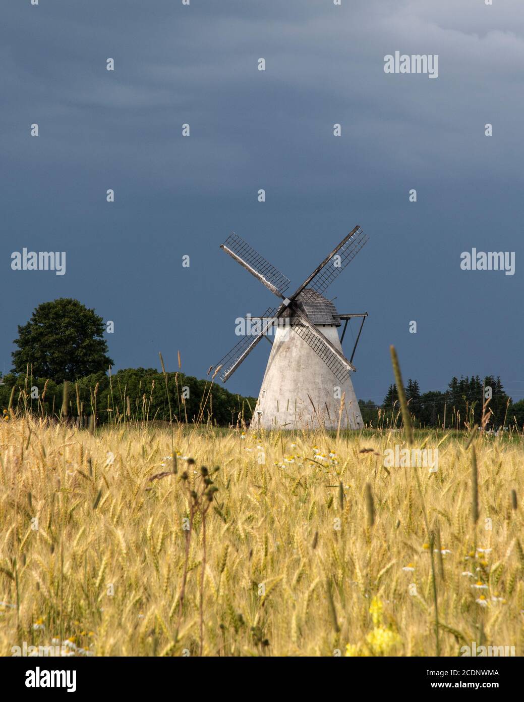 Nature et paysage estoniens Banque D'Images