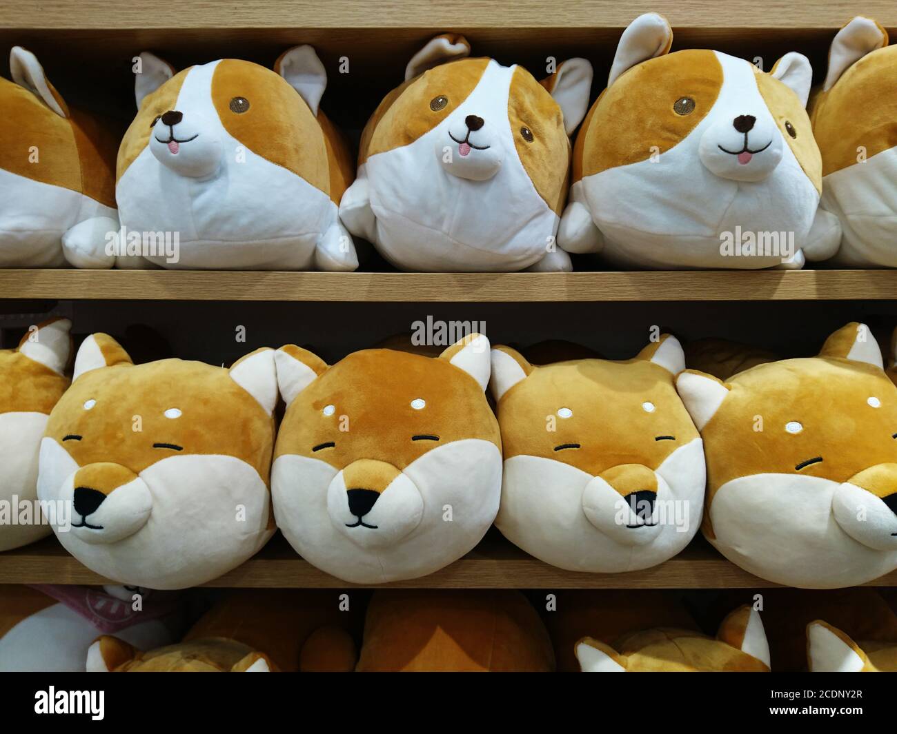 Jouets en peluche Banque D'Images