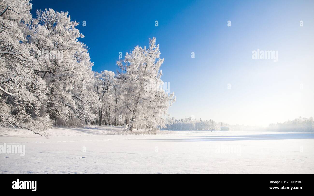 Parc d'hiver dans la neige Banque D'Images