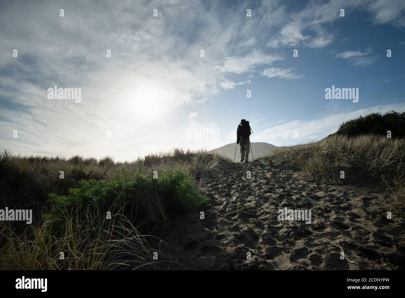 Marche sur la plage de sable noir d'Anawhata, Waitakere, Nouvelle-Zélande Banque D'Images