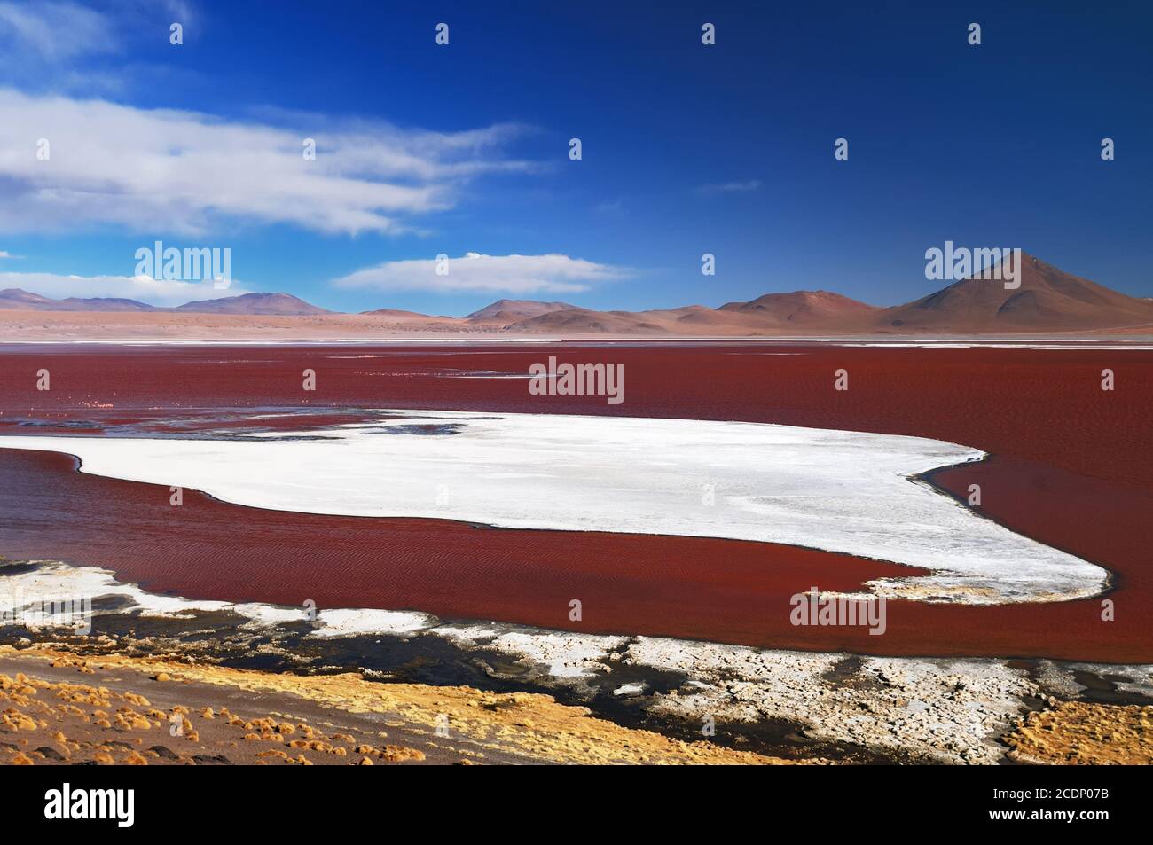 Bolivie - les plus belles Andes de l'Amérique du Sud. Le paysage est presque surréaliste, sans arbres, ponctué par de douces collines et volcans chiliens près de Banque D'Images