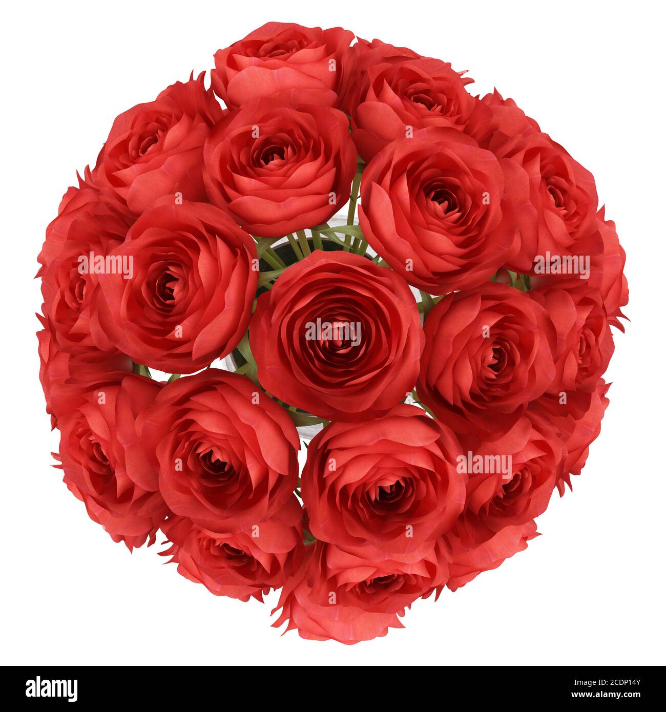 Vue de dessus de roses rouges dans un vase isolé sur fond blanc Banque D'Images