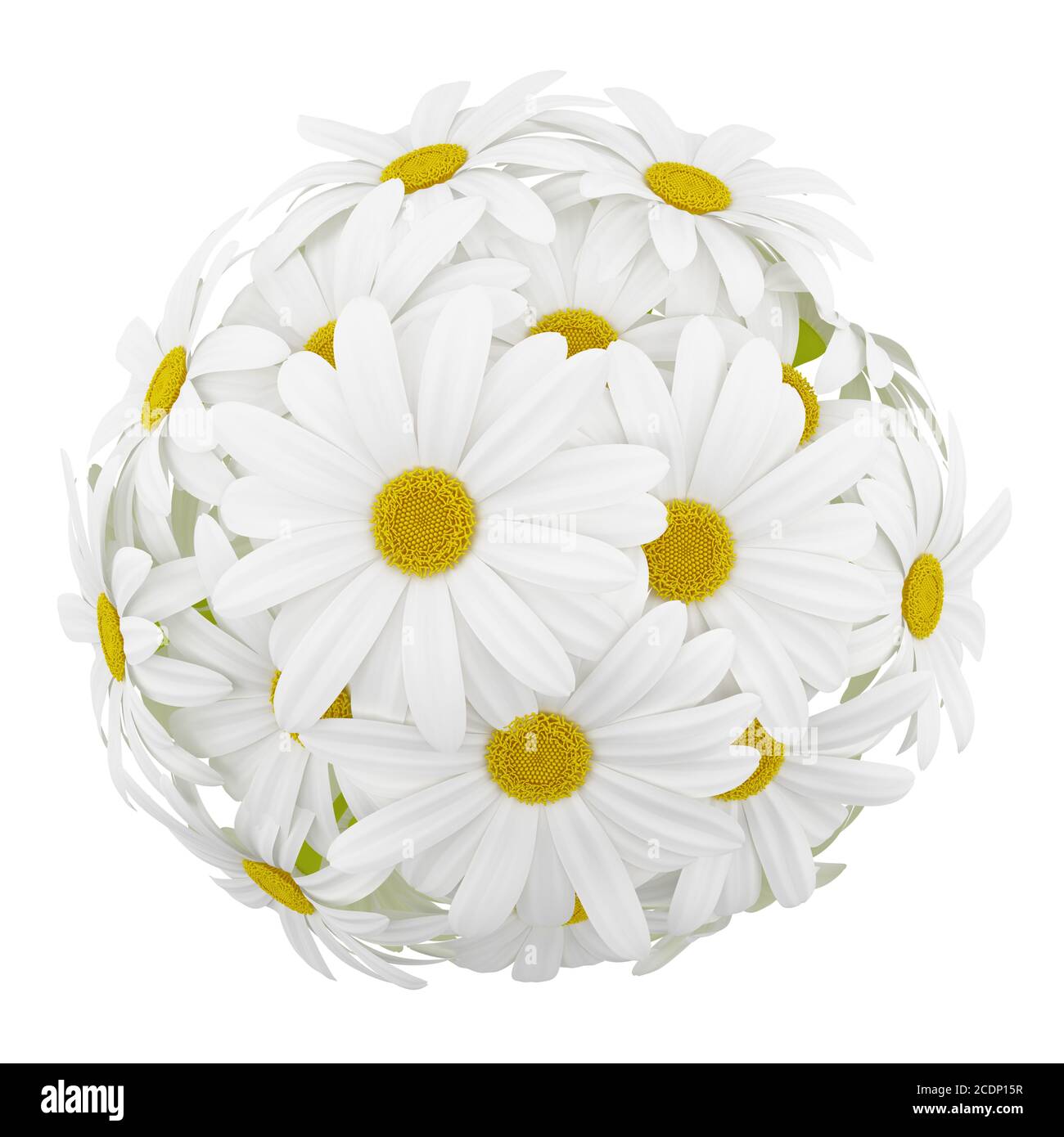 Vue de dessus de marguerites en vases de verre isolé sur fond blanc Banque D'Images