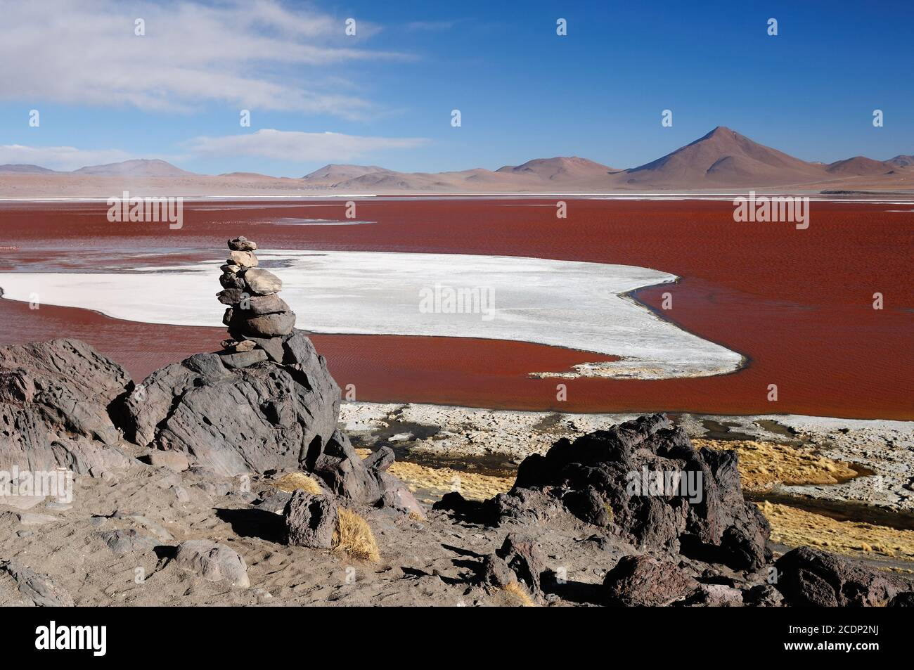 Amérique du sud - Bolivie. Le paysage est presque surréaliste, sans arbres, ponctué par de douces collines et volcans à proximité de la frontière chilienne. La photo présente l Banque D'Images