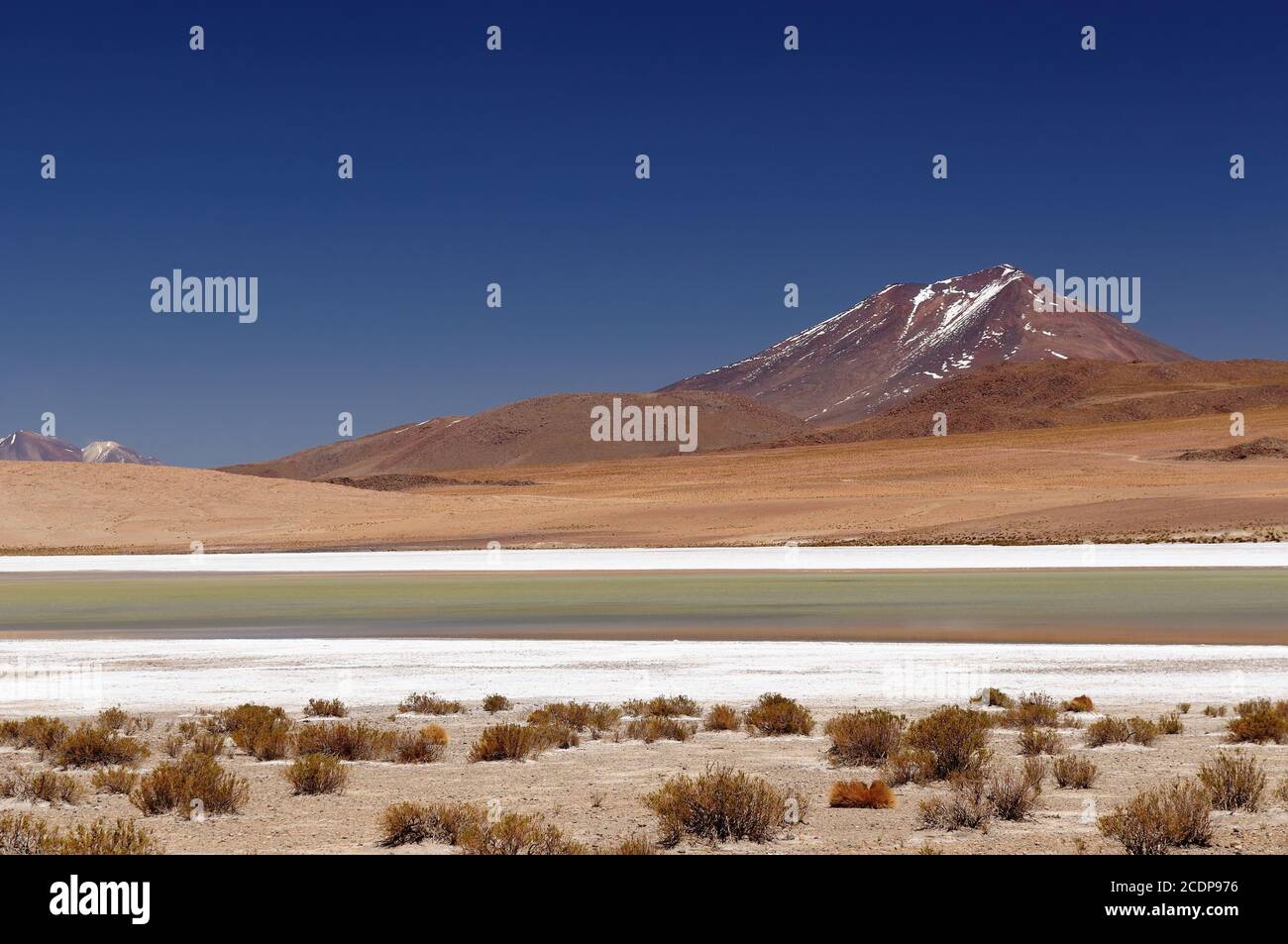 Bolivie - les plus belles Andes de l'Amérique du Sud. Le paysage est presque surréaliste, sans arbres, ponctué par de douces collines et volcans chiliens près de Banque D'Images