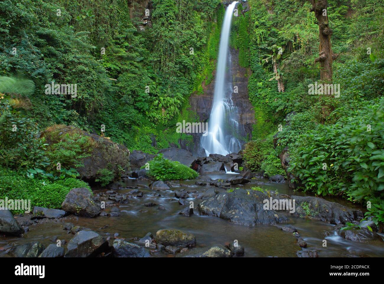 Indonésie, Bali, chute d'eau Gitgit Banque D'Images