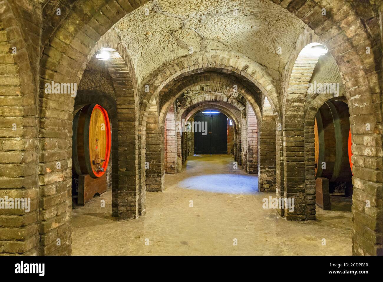 Cave à vin avec des tonneaux de vin et une porte Banque D'Images