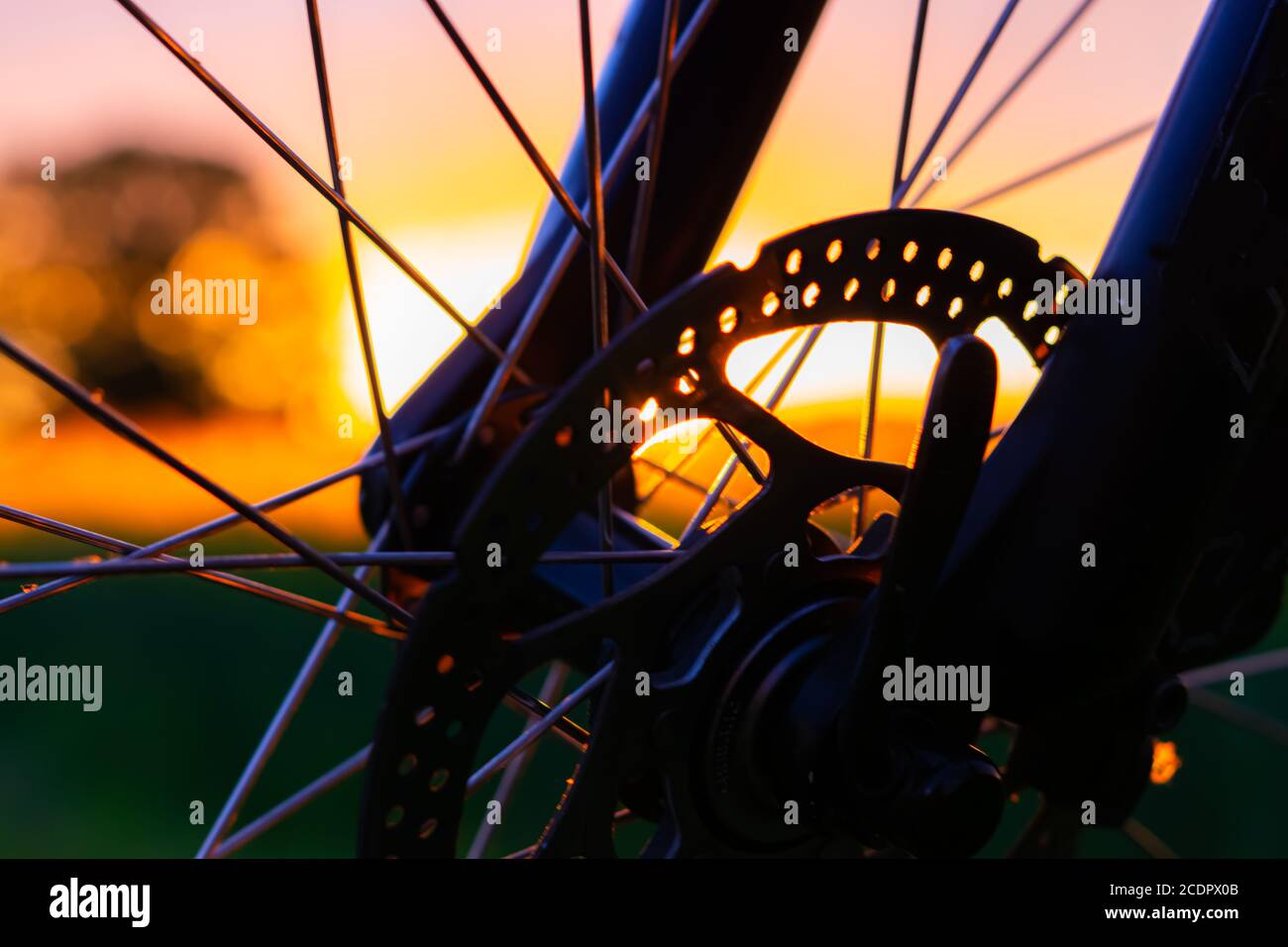 roue de vélo au coucher du soleil Banque D'Images