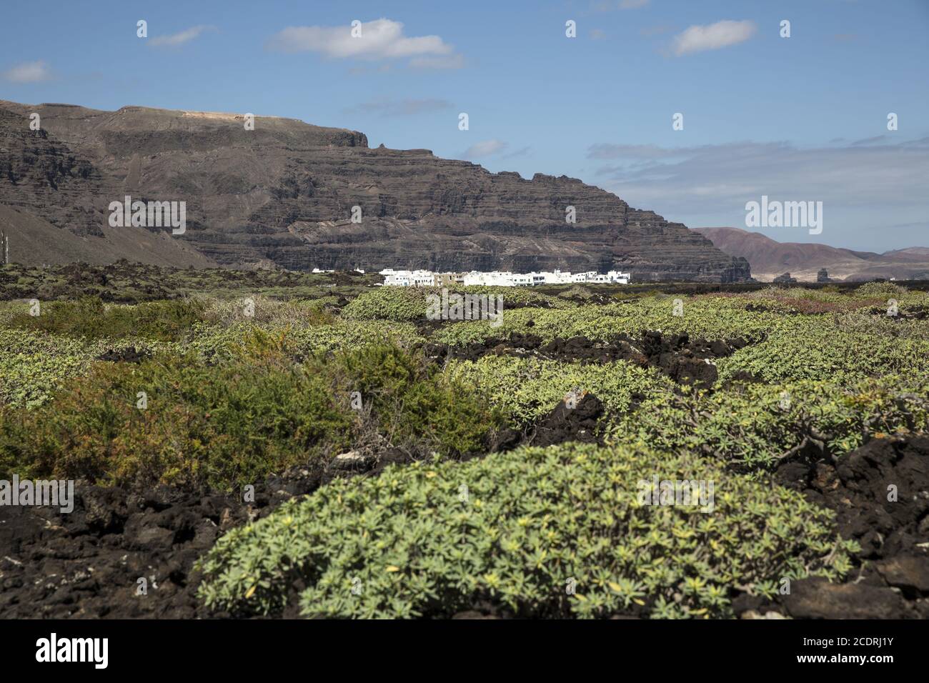 Paysage côtier de lave avec première végétation près d'Orzola, Lanzarote, îles Canaries, Espagne, Europ Banque D'Images