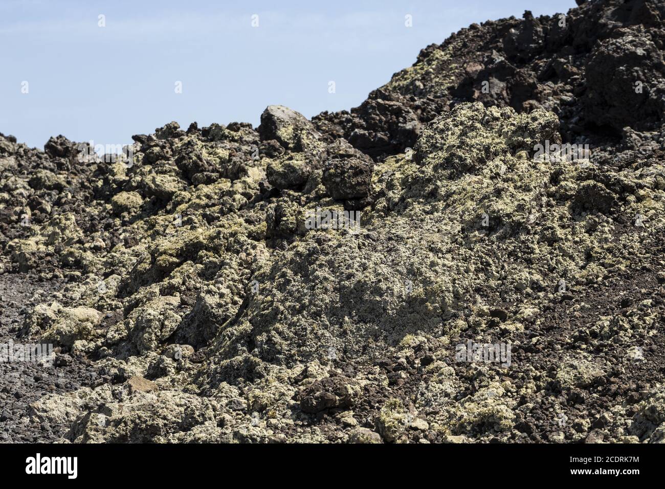 Premier lichen et plantes d'une nouvelle végétation sur le flux de lave refroidi à Mancha Blanca, Banque D'Images