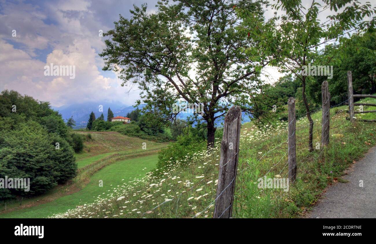 L'été en Toscane, Italie Banque D'Images