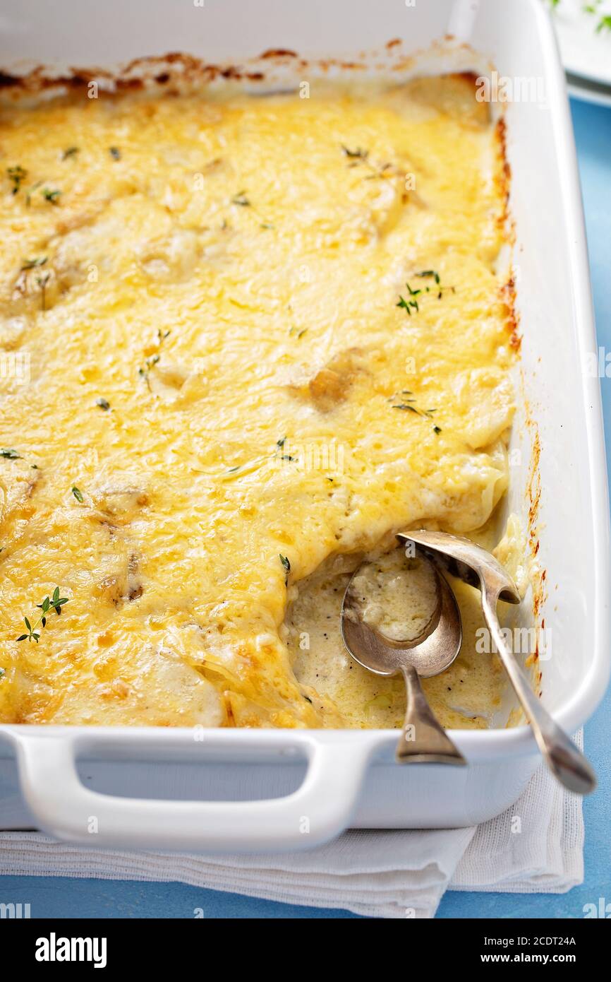 Gratin De Pommes De Terre à L'italienne Gratin De Pommes De Terre Au Parmesan 27 Gratin pommes de terre Banque de photographies et d’images à haute