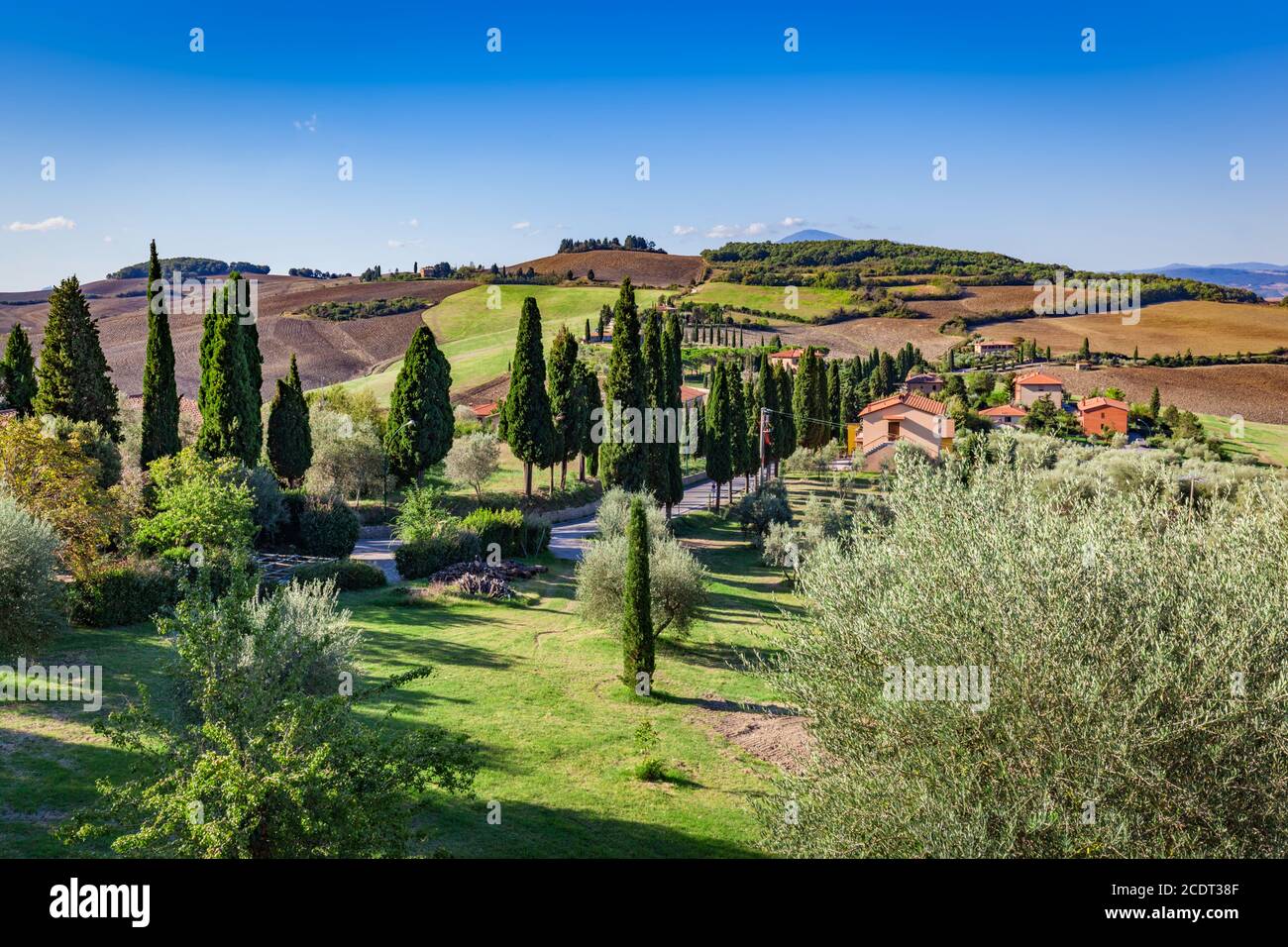 Toscane paysage de campagne avec cyprès, fermes et champs verts, Italie. Banque D'Images