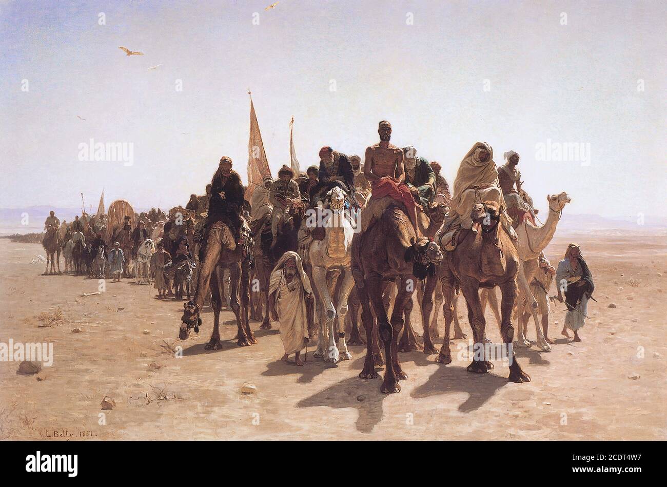 Leon belly Banque de photographies et d’images à haute résolution Alamy