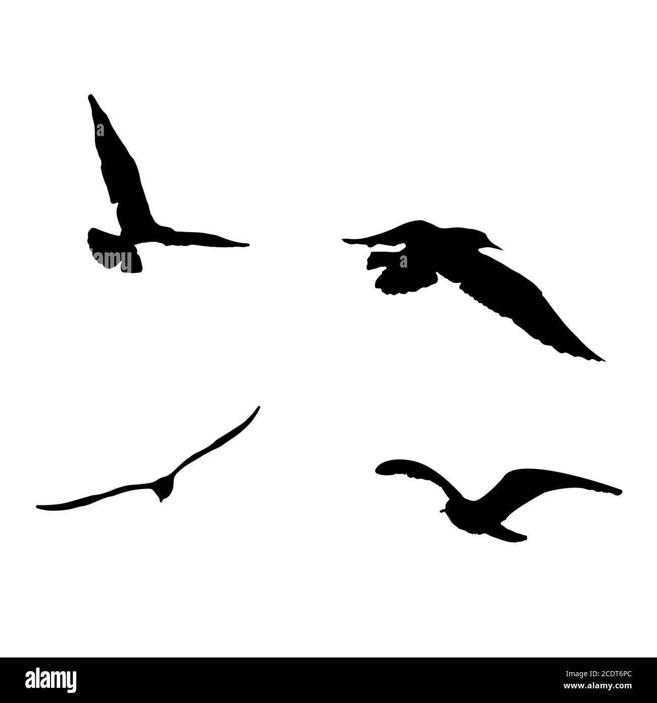Set - seagull silhouette sur fond blanc collection Banque D'Images