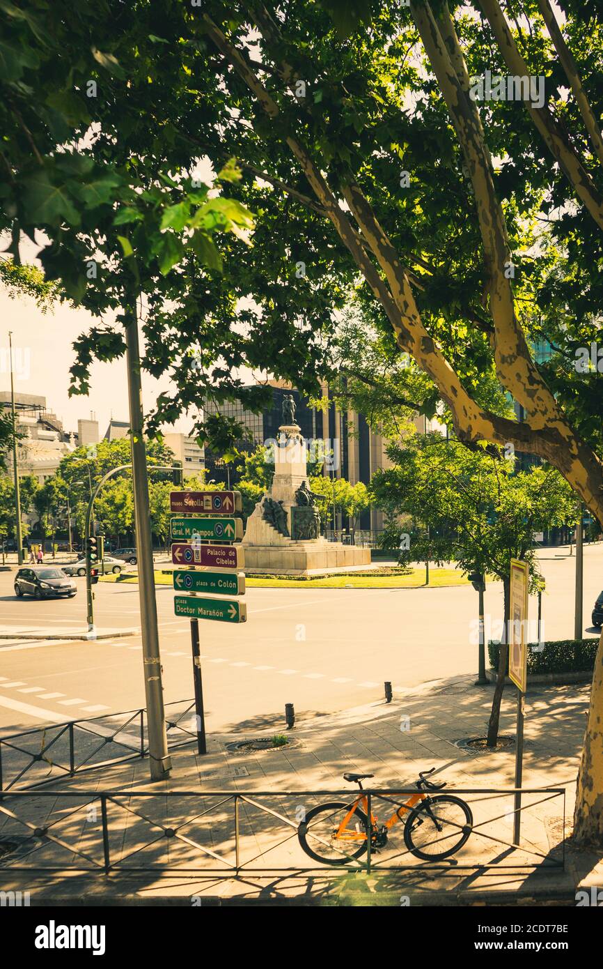 Ambiance fraîche d'un arbre lors d'une chaude journée d'été à Madrid, en Europe, en Espagne Banque D'Images