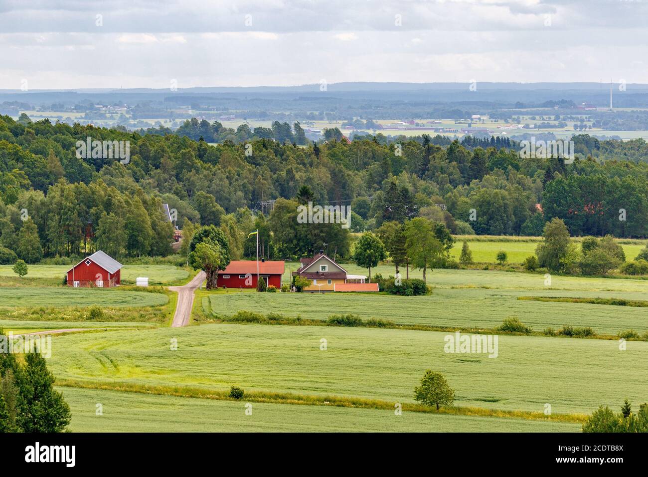 Vue paysage avec une ferme sur un champ par les bois Banque D'Images