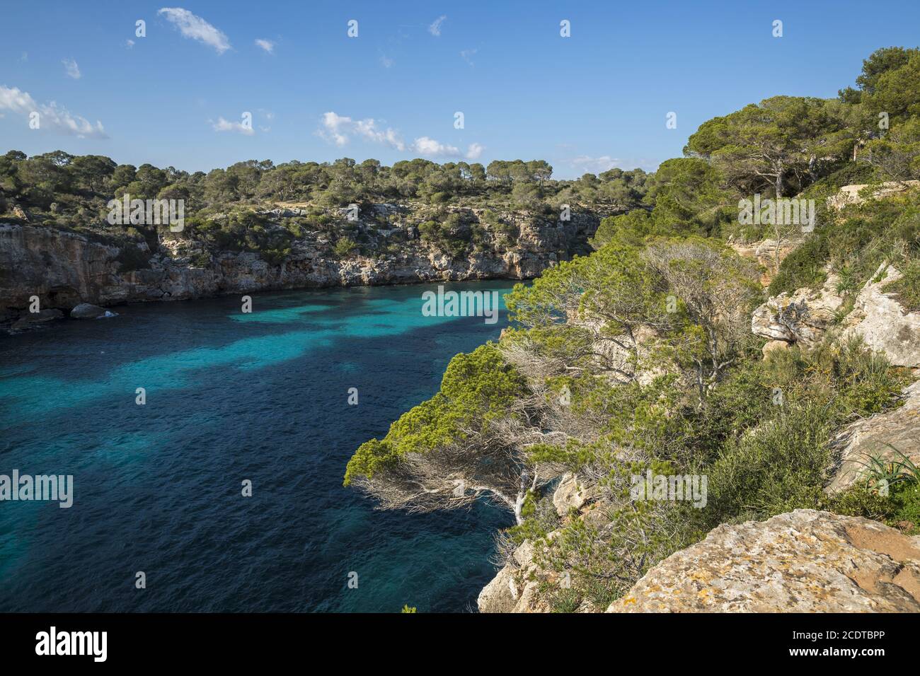 Côte rocheuse dans une baie à Cala Pi, Mallorca, Espagne, Europe Banque D'Images