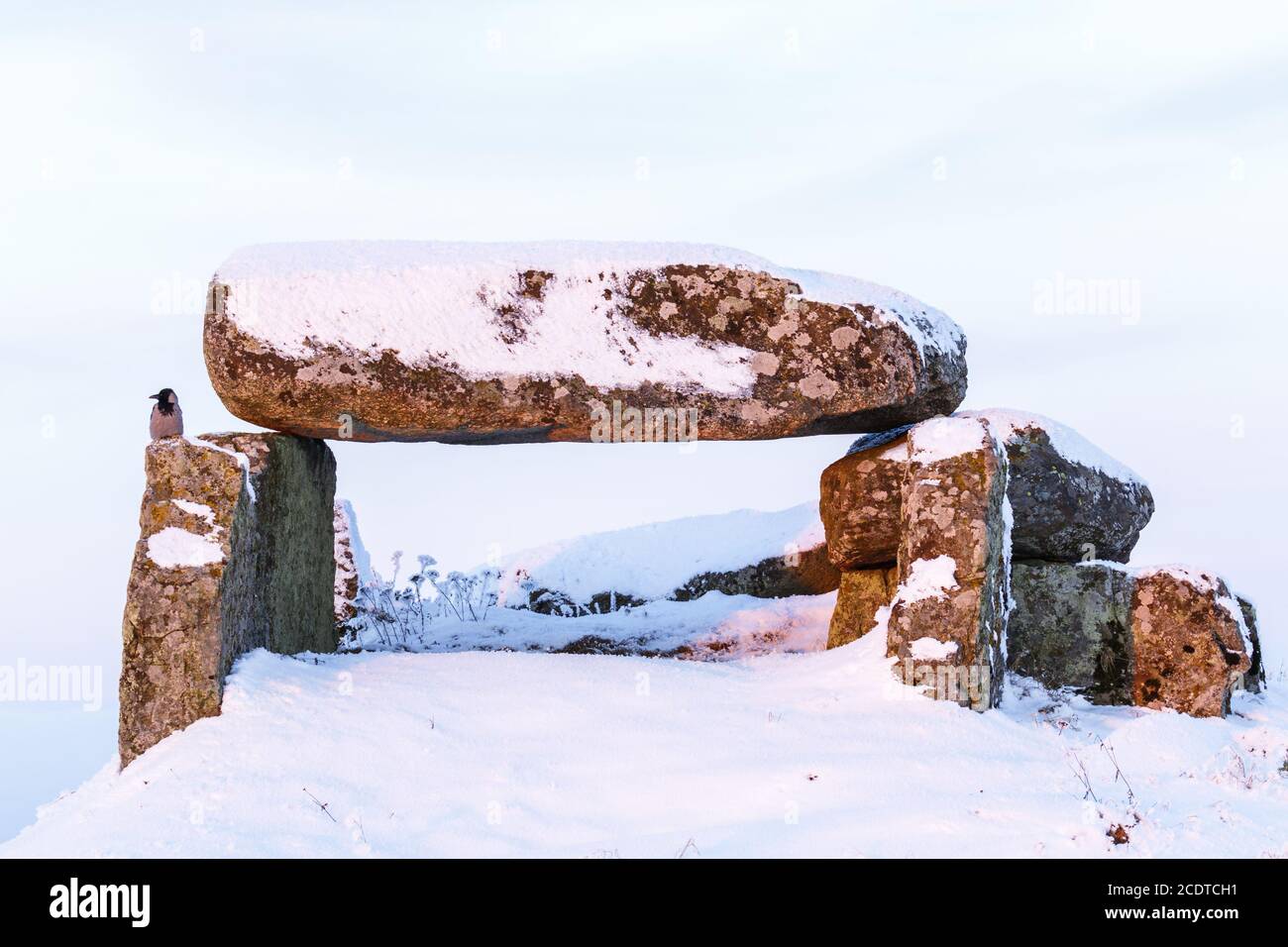 Crow qui se trouve sur une tombe de l'âge de pierre en hiver avec de la neige Banque D'Images