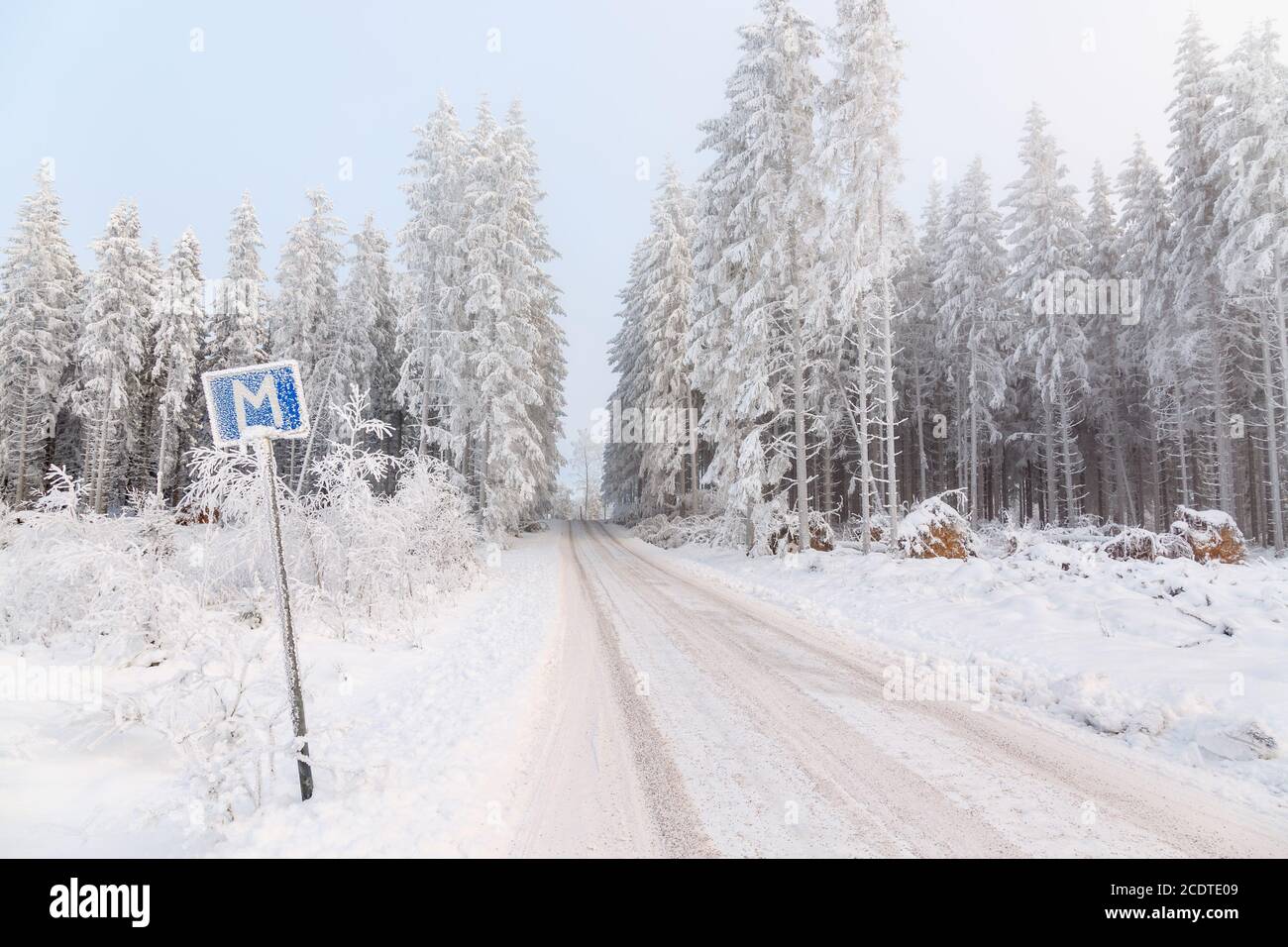 Lieu de rencontre sur une étroite route forestière dans un beau paysage d'hiver Banque D'Images