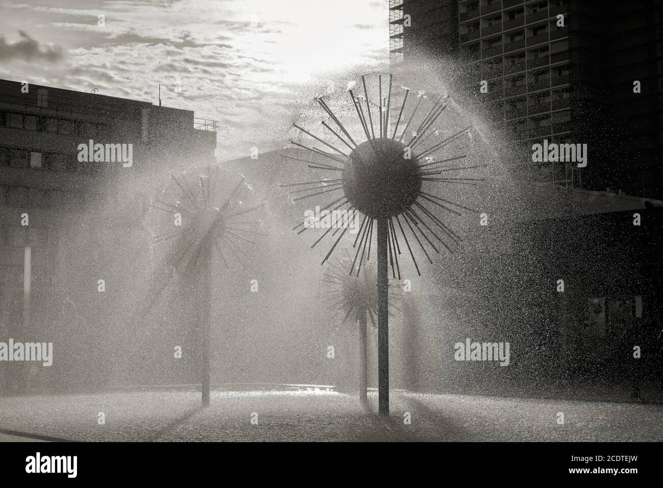 Fontaine dans une rue commerçante du centre-ville de Dresde Banque D'Images