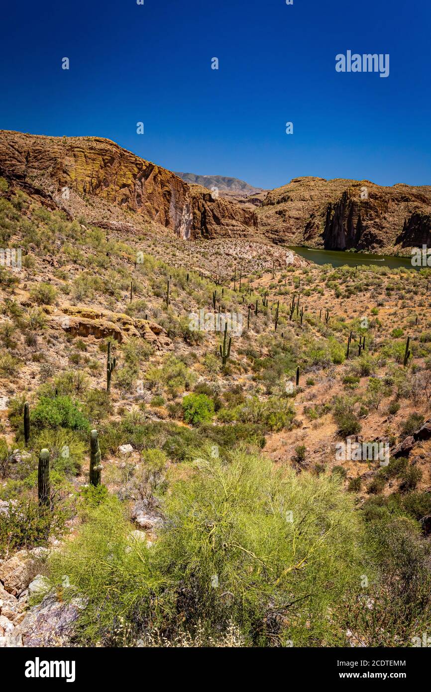 Apache Trail Scenic Drive Banque D'Images