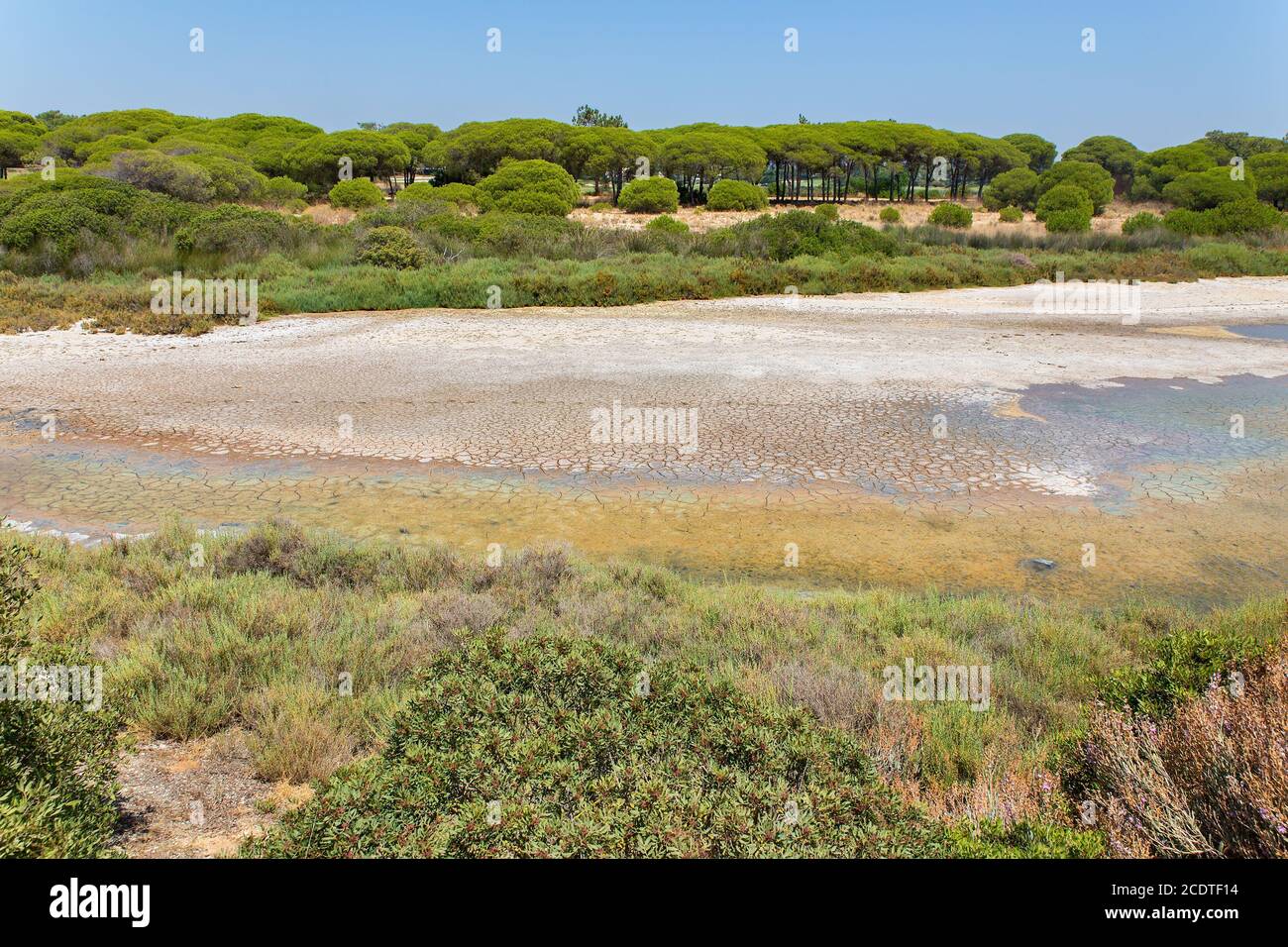 Paysage sur la côte avec végétation verte Banque D'Images