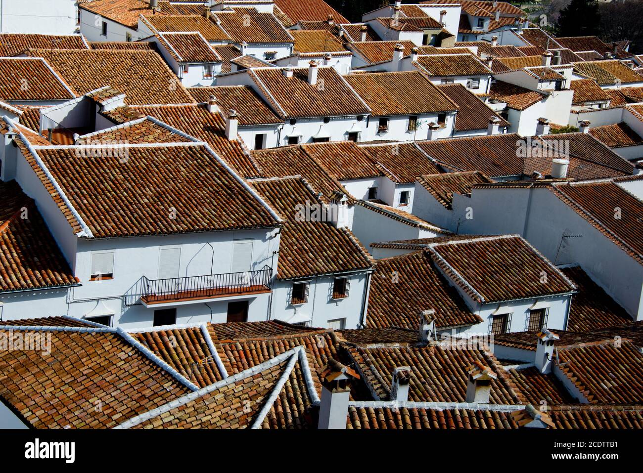 patrons de toit, grazalema, andalousie, espagne Banque D'Images