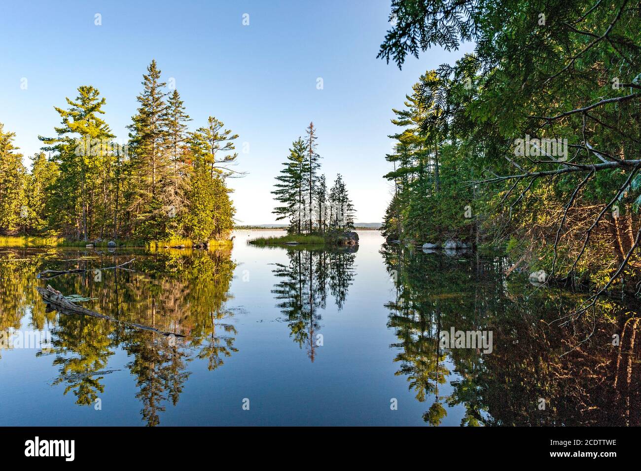 Réflexions d'arbres sur les eaux calmes du lac Banque D'Images