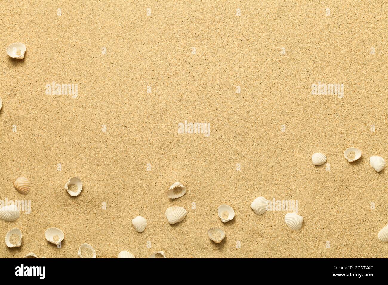 Été, fond de sable avec coquillages Banque D'Images