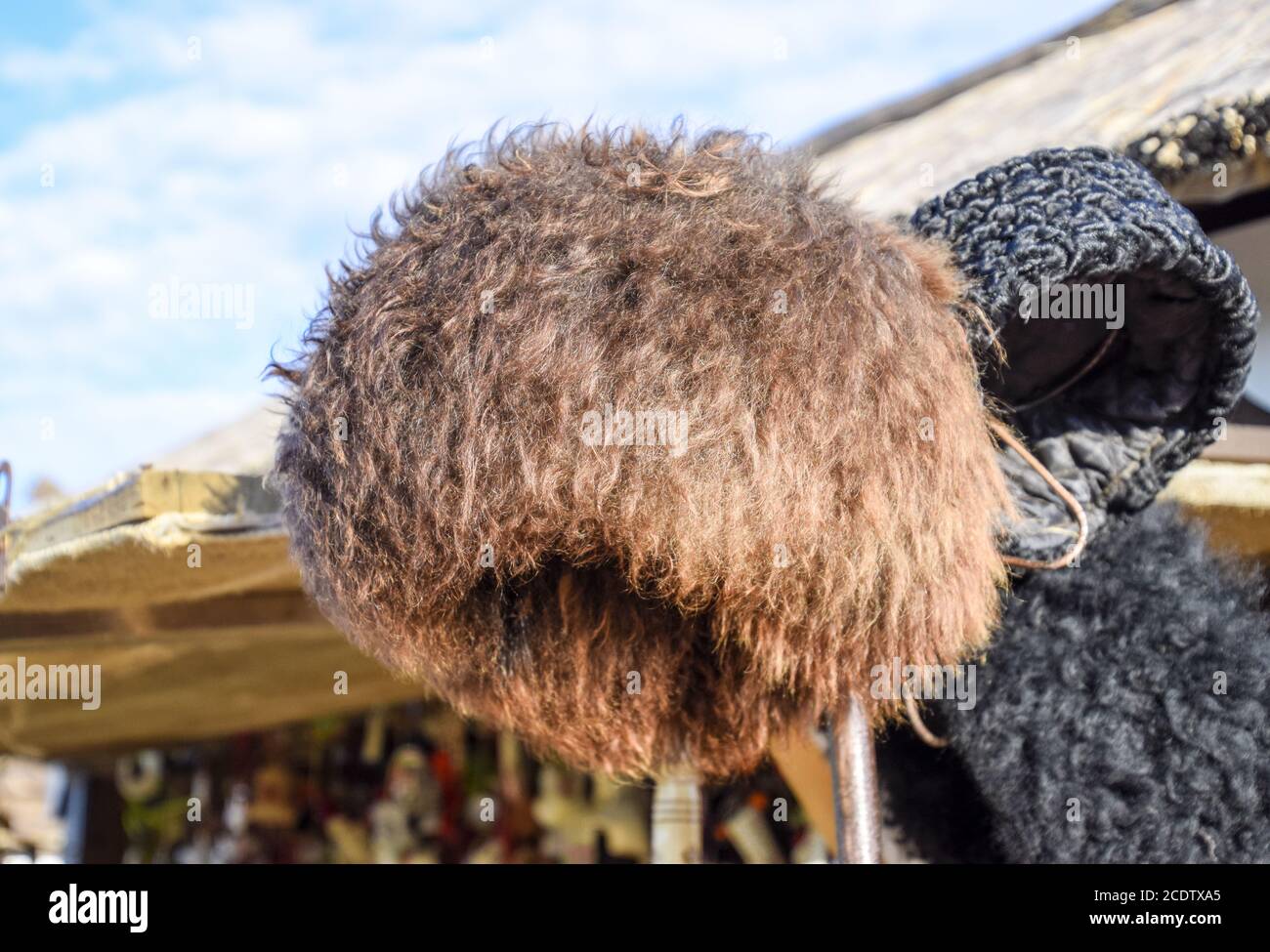 Chapeau cosaque en laine de mouton sur le marché. Laine de mouton de Mouton. Banque D'Images