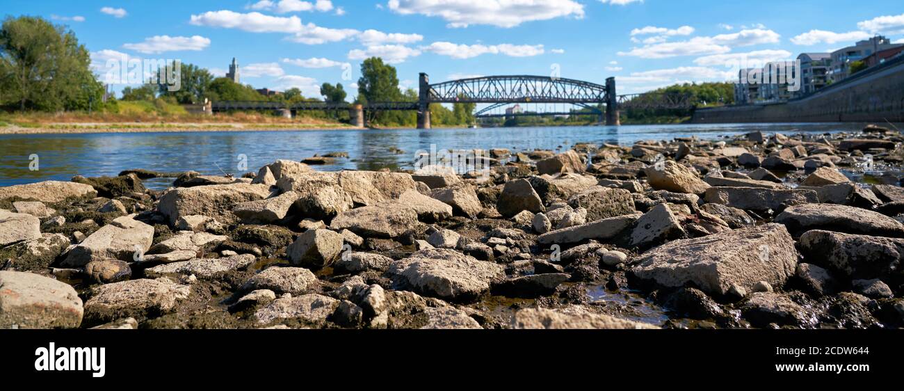 La rivière Elbe à Magdebourg à marée basse due à un été chaud Banque D'Images