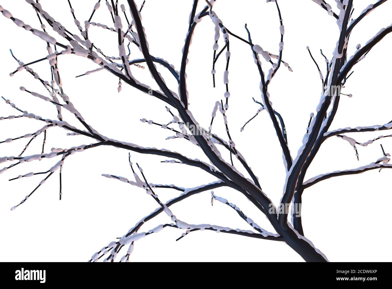 Les branches d'arbre gelé recouvert de neige sur fond blanc. Forêt en hiver, 3d illustration Banque D'Images