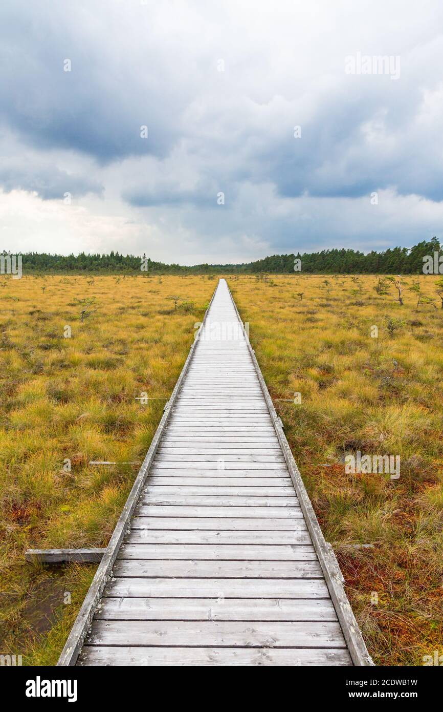 Sentier nature à une passerelle en bois à travers une lande Banque D'Images